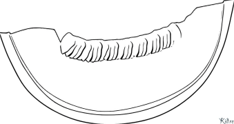 dưa Các Trang Màu Có Thể In